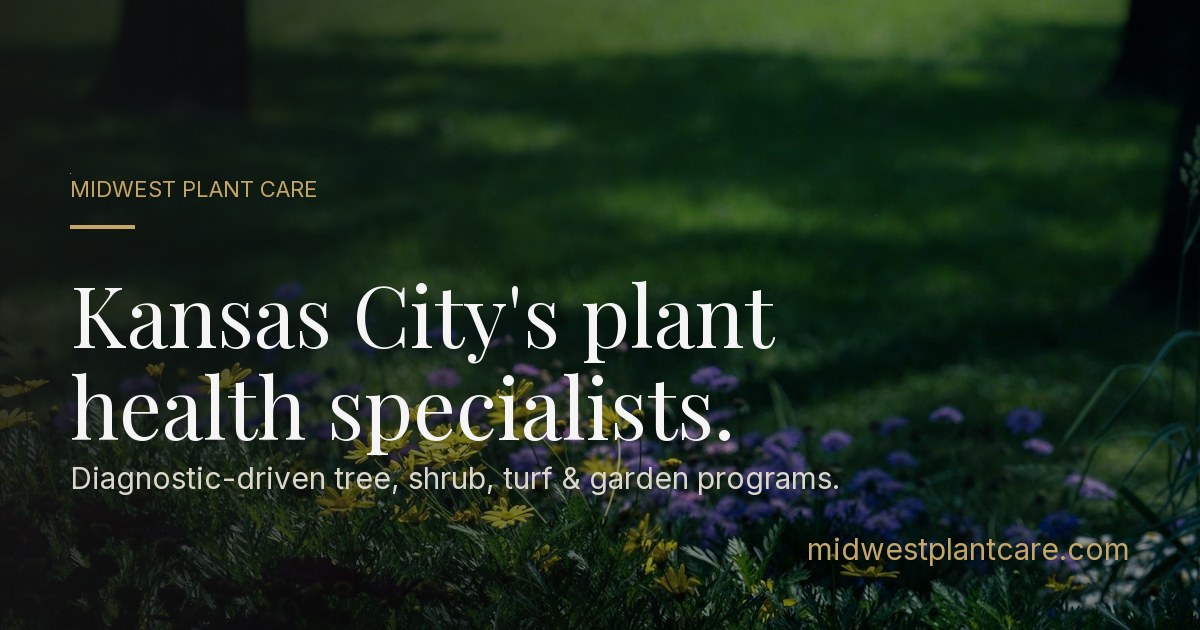 Why is my tree oozing brown sap? | Midwest Plant Care